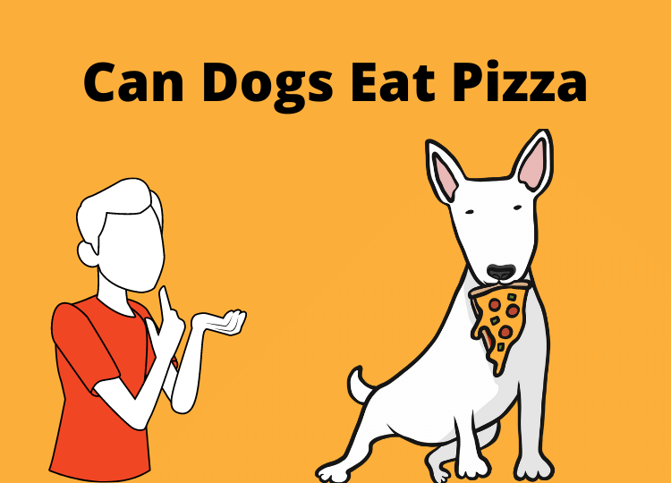 can dogs eat pizza