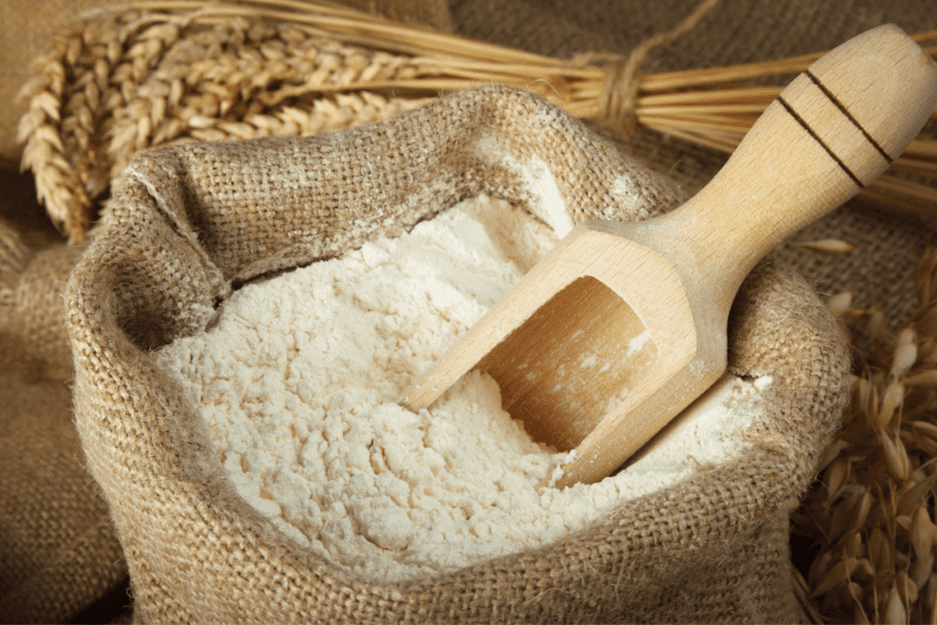 Wheat Montana Flour Vs King Arthur–Which is best for Bread?